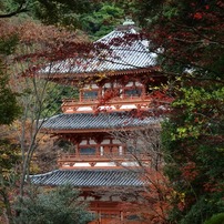 みやま市清水寺付近の紅葉