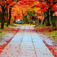 京都一人歩き