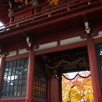 秋の本土寺