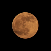 皆既月食　夕方の月