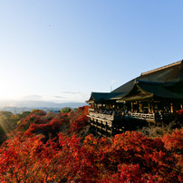 清水寺の紅葉