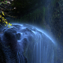 NIKON(ニコン)のレンズ Ai AF Zoom Nikkor ED 80-200mm F2.8D で撮影