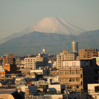朝の富士山