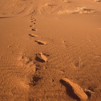 ワディ ラム保護地域 の写真 画像 写真集 写真共有サイト Photohito