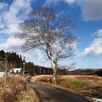 FUJIFILM FINEPIX JX180 富士フイルム Amazon | FUJIFILM デジタルカメラ FinePix(ファインピックス