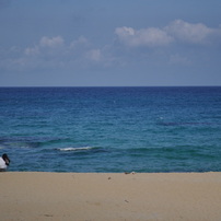 屋久島の海と女性