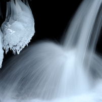 NIKON(ニコン)のレンズ Ai AF Zoom Nikkor ED 80-200mm F2.8D で撮影