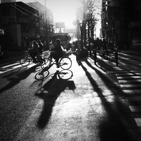 On a Bright and Sunny Day in Winter #17