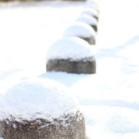 雪景色