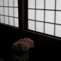 うだつの街並みに行ってきました