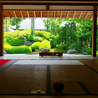 鎌倉花めぐり（6月まで分)