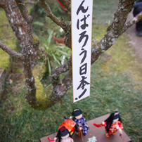 奥座敷坂本ひな街道に行ってきた。