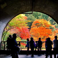 The other side of the tunnel was red