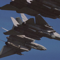 F-14 TOMCAT forever...