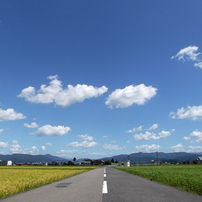 FUJIFILM(富士フイルム)のデジタルカメラFinePix JX180 で撮影