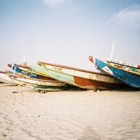 FUJIFILM(富士フイルム)のフィルムカメラNATURA S で撮影した写真(画像