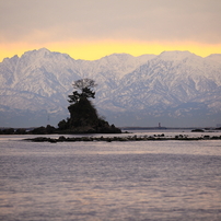 「早春の景色編」--ゴリの感動した写真館