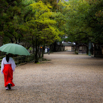 雨ふりし出雲大社