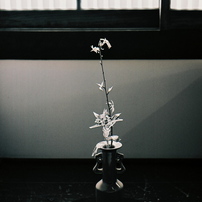 Japanese Spirit