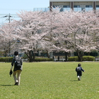 第一公園への散歩08