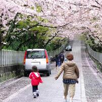 降ってくる