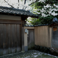SAKURA