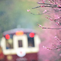 雨音はショパンの調べ