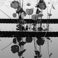 Canon EOS-30D【美品・完全動作品】平成レトロでエモい写真【作例あり】 Canon EOS-30D【美品・完全動作品】平成レトロでエモい写真