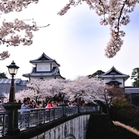 桜の石川門