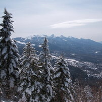 FUJIFILM(富士フイルム)のデジタルカメラFinePix F440 で撮影した写真