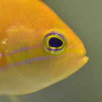 2012.04.24海の中道で