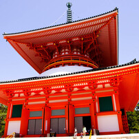 晩春の高野