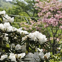 2012年4月29日　②