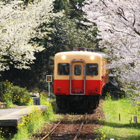 小湊鉄道の風景Ⅱ　（2012）