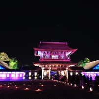 2012春　国宝・瑞龍寺　春のライトアップ