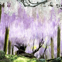 旅の思い出