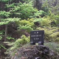 水源の森百選の碑とカツラ