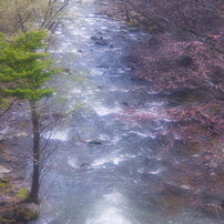 風景