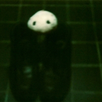 Rollei 35S 写真練習中