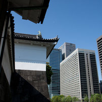 5月の風に誘われて～公園の休日