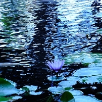 藍の世界