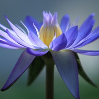 みずの森　2012年5月