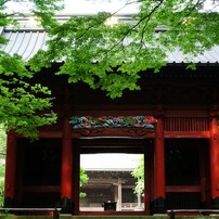 和の風景