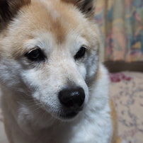 始。
