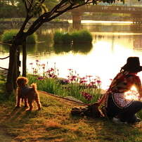 朝日、夕景、夜景