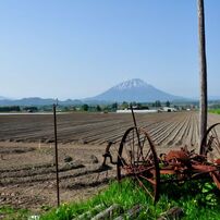 北海道を感じて