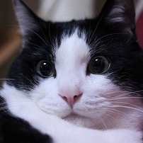ぱっちり。