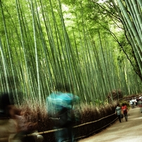 嵐山・嵯峨野