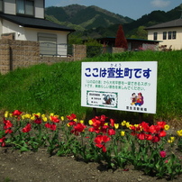 山の辺の道紀行9