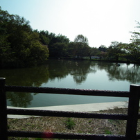 山の辺の道紀行11